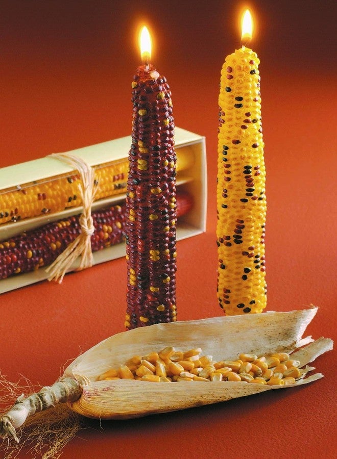 tag 9" Harvest Corn Themed Taper Flame Candles, Set of 2 Thanksgiving Fall Autumn Dining Dinner Kitchen Table Tabletop Decor Decoration S/2 Multi Harvest