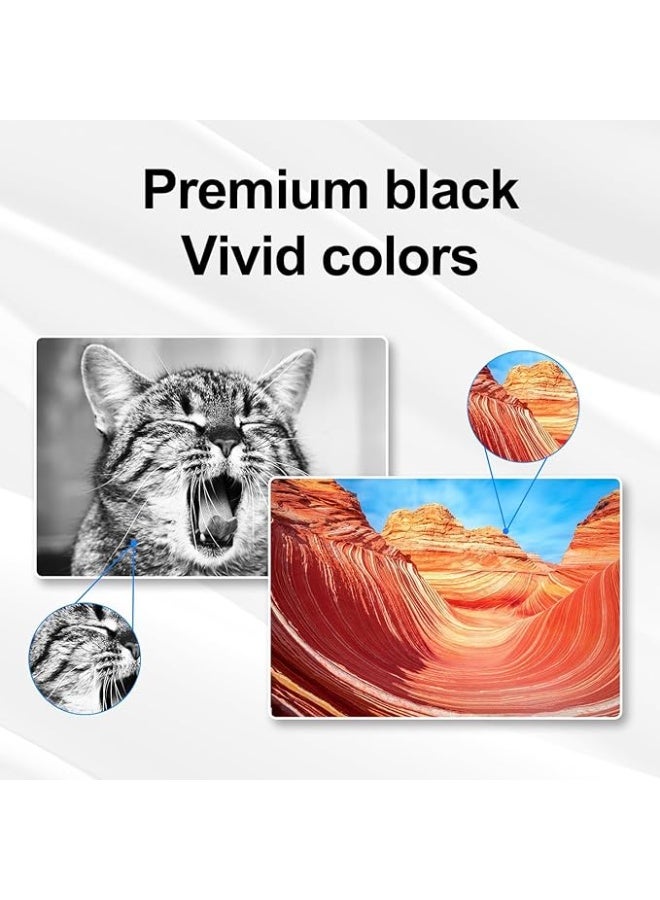 Terabyte GT51 Black & GT52 Color Ink Bottle for HP Ink Tank 319 410 419 Smart Tank 500 502 508 511 514 515 518 538 571 615 720 750 790 DeskJet GT 5810 5820 5822 (Black/Cyan/Magenta/Yellow, 4 Pack) - Image 4