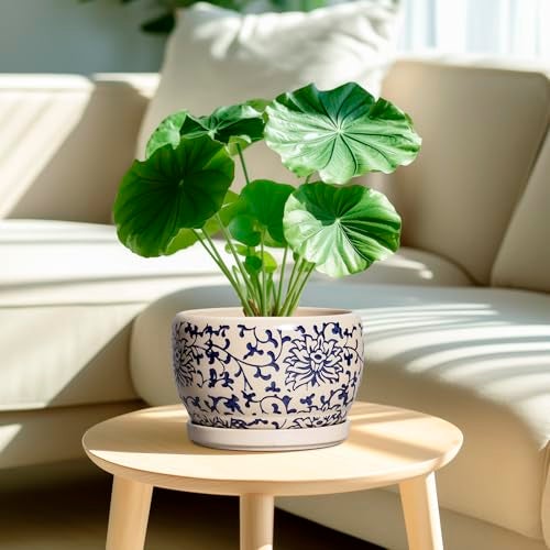 SQOWL Ceramic Planters for Indoor Plants - 8 inch Plant Pot with Drainage Hole and Saucer, Decorative Flower Pot Outdoor, Porcelain Round Planter, Living Room Decor, Gardening Gifts, Blue and Beige - Image 2