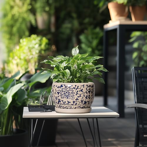SQOWL Ceramic Planters for Indoor Plants - 8 inch Plant Pot with Drainage Hole and Saucer, Decorative Flower Pot Outdoor, Porcelain Round Planter, Living Room Decor, Gardening Gifts, Blue and Beige - Image 5
