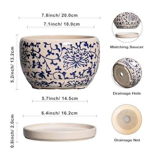 SQOWL Ceramic Planters for Indoor Plants - 8 inch Plant Pot with Drainage Hole and Saucer, Decorative Flower Pot Outdoor, Porcelain Round Planter, Living Room Decor, Gardening Gifts, Blue and Beige - Image 3