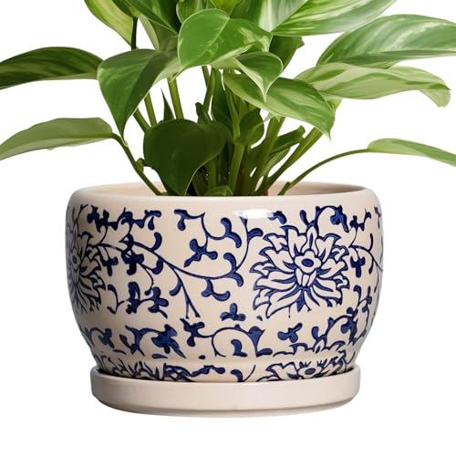 SQOWL Ceramic Planters for Indoor Plants - 8 inch Plant Pot with Drainage Hole and Saucer, Decorative Flower Pot Outdoor, Porcelain Round Planter, Living Room Decor, Gardening Gifts, Blue and Beige - Image 1