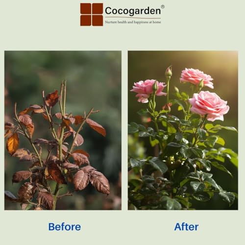 Cocogarden Organic Steamed Bone Meal Fertilizer 900 gms | Boosts Flowering, Fruiting & Root Growth | 100% Natural Phosphorus & Calcium Rich Plant Food | Ideal for Vegetables, Fruits & Flowering Plants - Image 4
