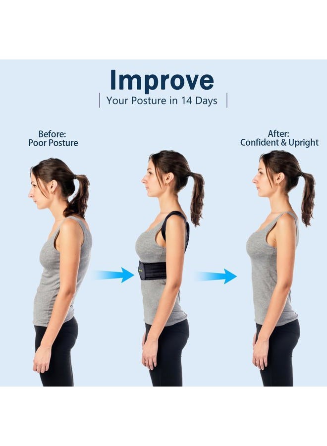 Mercase Posture Corrector for Men,Women and Kids,Comfortable Adjustable Support Back Brace Providing Pain Relief for Neck, Back, Shoulders,Posture Brace (L, Waistline 32-39in) - Image 2