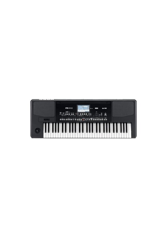 Korg PA300 61-Key Arranger Keyboard - Image 1