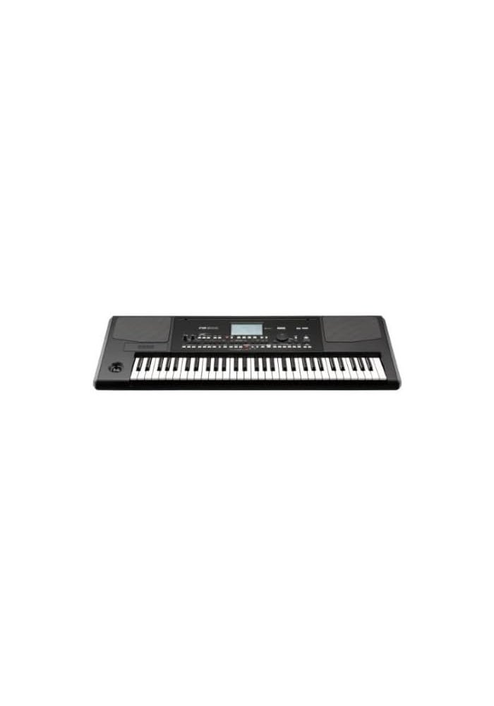Korg PA300 61-Key Arranger Keyboard - Image 2