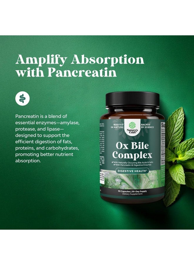 Natures Craft Digestive Enzymes with Ox Bile - Ox Bile Supplements for No Gallbladder with Trypsin, Papain & Bromelain Enzyme for Pancrease Cleanse & Detox - Pancreatin Digestion Enzymes for Women & Men - 90 Ct - Image 4