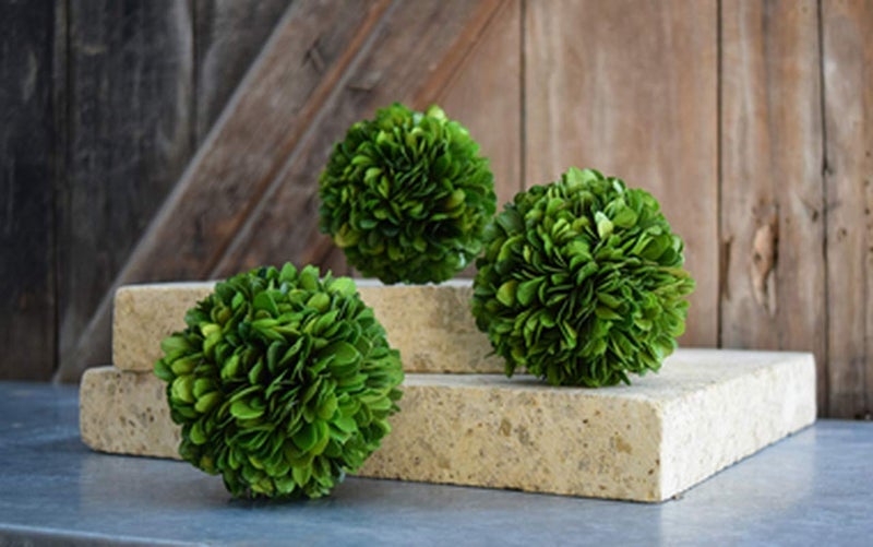 BOXWOOD WORLD BoxwoodWorld Boxwood Topiary Ball 5"" Preserved Boxwood Topiary Plant Wedding Decor Indoor Plant Ball Topiary Tree Substitute Christmas Decorative Ball  - Image 5