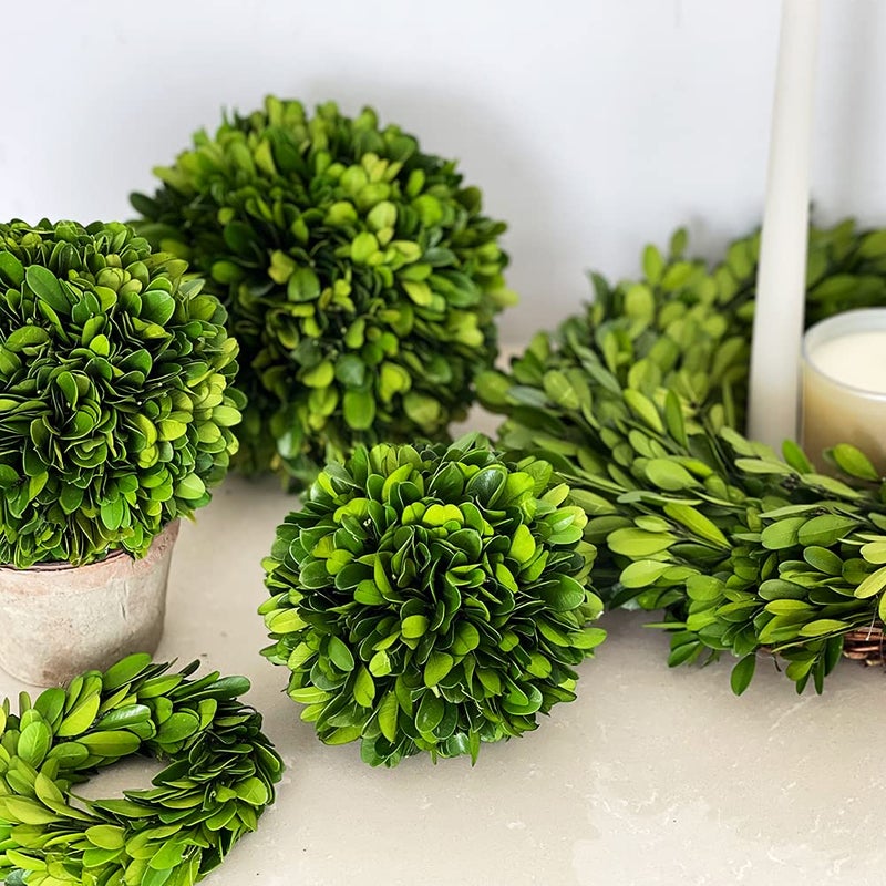 BOXWOOD WORLD BoxwoodWorld Boxwood Topiary Ball 5"" Preserved Boxwood Topiary Plant Wedding Decor Indoor Plant Ball Topiary Tree Substitute Christmas Decorative Ball  - Image 3