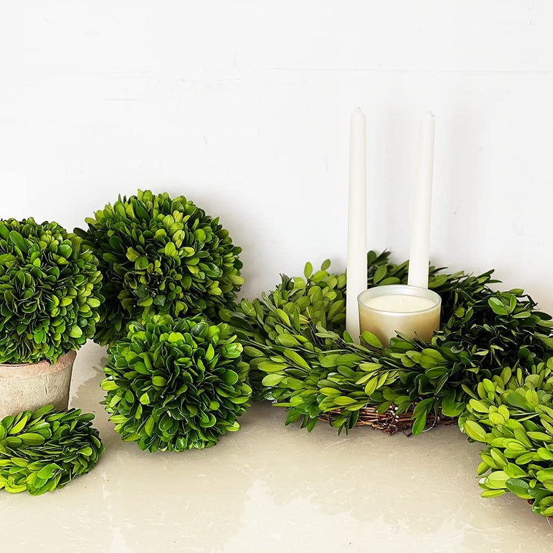 BOXWOOD WORLD BoxwoodWorld Boxwood Topiary Ball 5"" Preserved Boxwood Topiary Plant Wedding Decor Indoor Plant Ball Topiary Tree Substitute Christmas Decorative Ball  - Image 4
