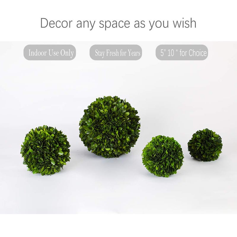 BOXWOOD WORLD BoxwoodWorld Boxwood Topiary Ball 5"" Preserved Boxwood Topiary Plant Wedding Decor Indoor Plant Ball Topiary Tree Substitute Christmas Decorative Ball  - Image 2