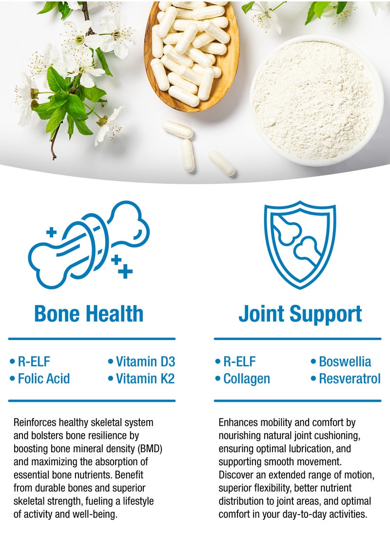 bioQuad LIFE SCIENCES - OsteoDenx - for Healthy Bone Formation & Improved Joint Mobility - Lactose-Free, Gluten-Free, Non-GMO (60 Count) - Image 1