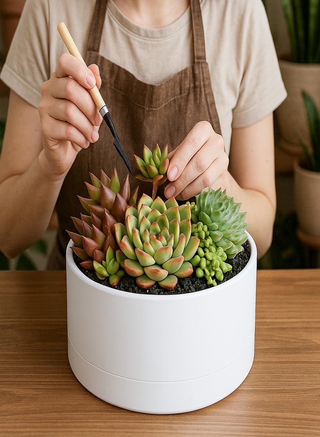D'vine Dev 10 Inch Plastic Shallow Planter, Large Round Succulent Plant Pot with Drainage Hole and Sauce, Decorative Bonsai Pot for Indoor Plants, White, 76-Z-A-2 - Image 3