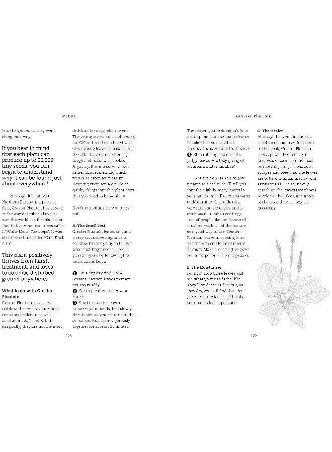 Foraging with Kids - Image 1