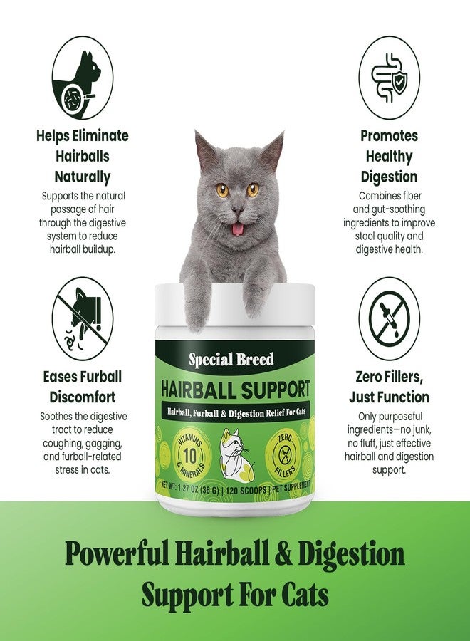 Special Breed Hairball Support for Cats - 10 Super Ingredients for Hairball Relief, Digestive Support & Healthy Skin - No Fillers - Psyllium, Pumpkin, Omega-3s & More - 120 Scoops - Image 2