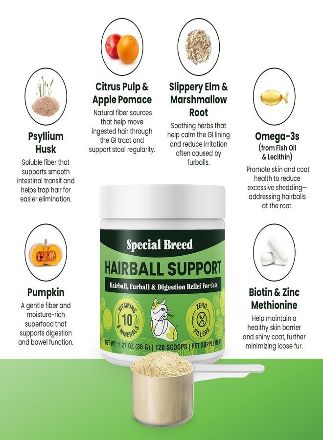 Special Breed Hairball Support for Cats - 10 Super Ingredients for Hairball Relief, Digestive Support & Healthy Skin - No Fillers - Psyllium, Pumpkin, Omega-3s & More - 120 Scoops - Image 3