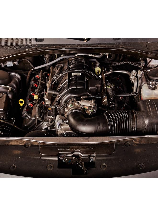 STP Gas Treatment 155 Ml - Image 4