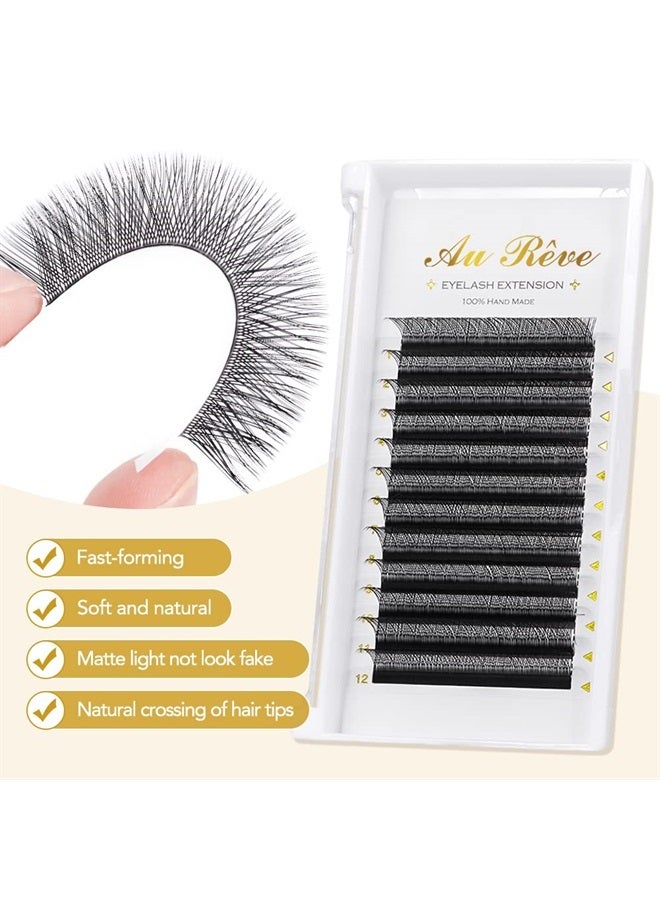 AuReve Y Lashes Extensions YY Lash Extensions D Curl 0.07mm 14mm Mix Tray Y Shape 4D Volume Premade Fan Lashes Matte Black Easy Fans Lashes Professional Use YY Lash (YY-0.07-D, 14mm) - Image 1