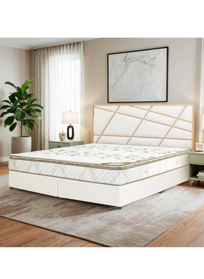 باك كير مرتبة باك كير ريم طبية مع نوابض منفصلة، إسفنج HR عالي المرونة، راحة متوسطة الصلابة، قماش مهوّى وبارد، غطاء مضاد للبكتيريا، لدعم العمود الفقري وآلام الظهر ونوم عميق – 200x180 سم - Image 1