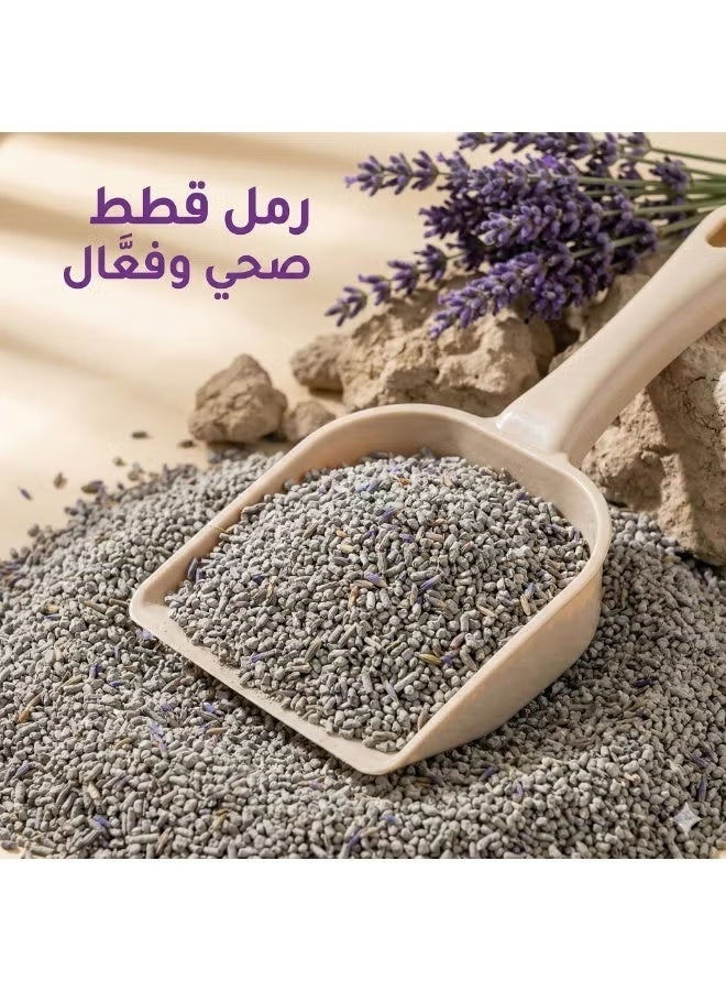 كيوت كات رمل القطط برائحة اللافندر هو رمل صحي مصنوع من طين البنتونيت الطبيعي عالي الجودة - Image 3