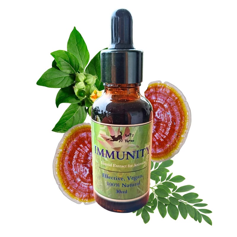 THRIVE Immunity Tincture for Dogs & Cats | Natural Herbal Drops for Stronger Immunity & Daily Wellness | Tulsi, Giloy & Amla Extract for Pets’ Health Support (30ml) - Image 1