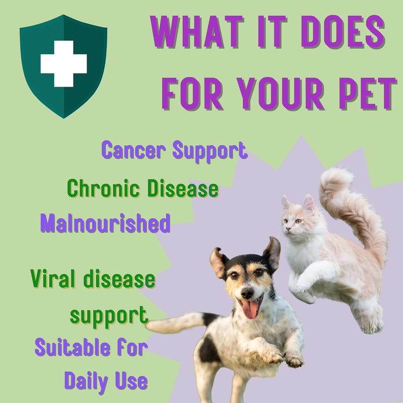 THRIVE Immunity Tincture for Dogs & Cats | Natural Herbal Drops for Stronger Immunity & Daily Wellness | Tulsi, Giloy & Amla Extract for Pets’ Health Support (30ml) - Image 3