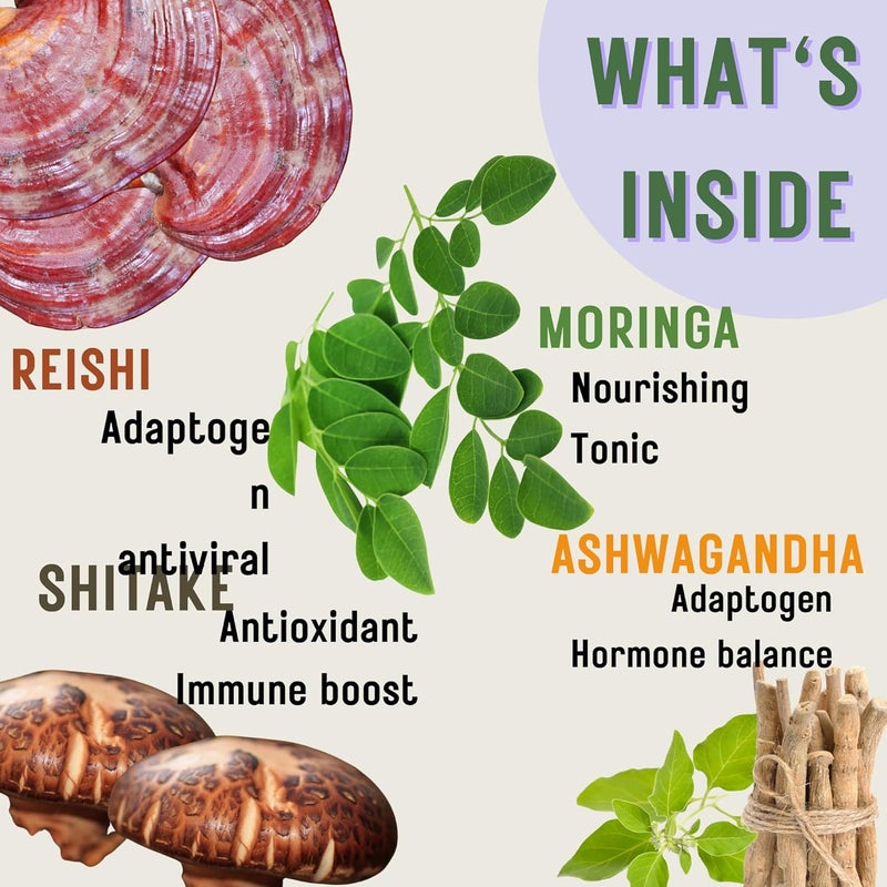 THRIVE Immunity Tincture for Dogs & Cats | Natural Herbal Drops for Stronger Immunity & Daily Wellness | Tulsi, Giloy & Amla Extract for Pets’ Health Support (30ml) - Image 4