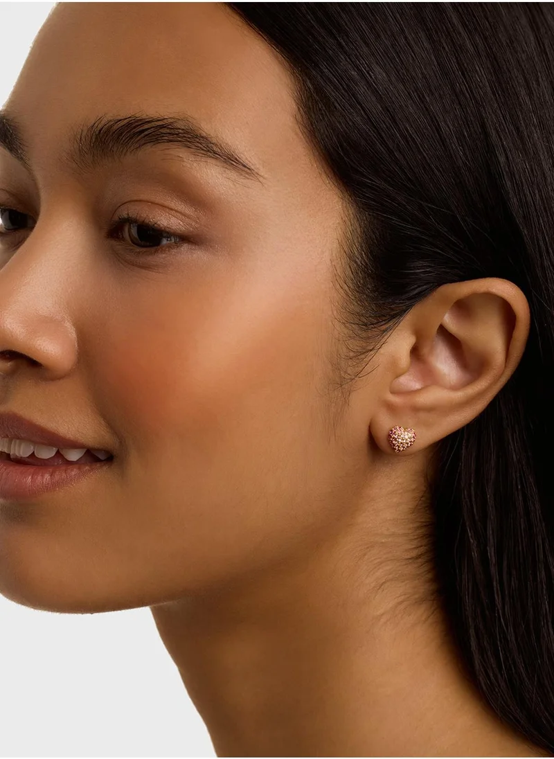 Ted Baker Heart Detail Stud Earrings