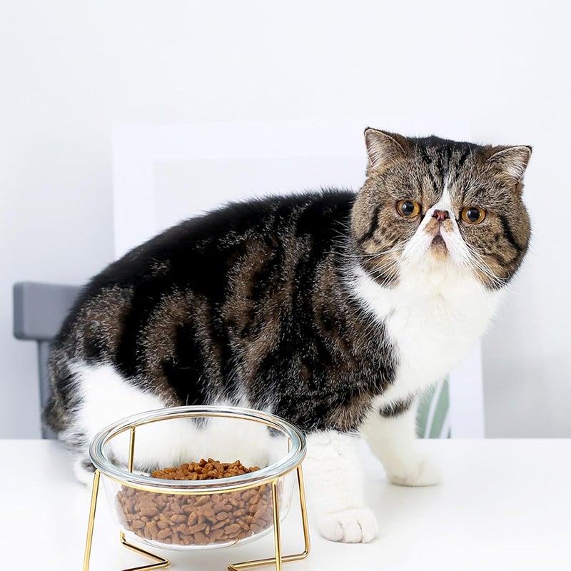 Glass Pet Feeding Bowl with High Base and Oblique Design, 480ml Tilted Raised Dog Cat Food Bowl with Metal Stand for Neck Protection and Elevated Feeding - Image 4