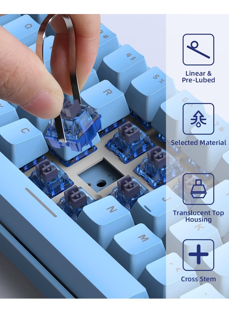 KASTWAVE Diced Fruit Blueberry Switch, 36PCS 5 Pin 35gf Linear Switch Set, Transparent Cover, 15.5mm Gold Plated TwoStage Springs, 80M MX Switch for Hotswap Mechanical Keyboard Replacement - Image 2