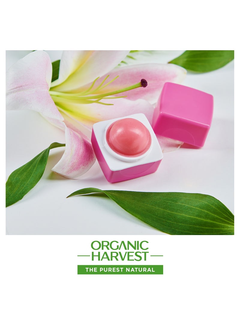 Organic Harvest - Organic Harvest Pink Tinted Lip Balm: Lily | Lip Balm for Women & Men | For All-round Lip Care | Lip Tint | Lip Balm Tint | Organic Lip Balm | 100% Certified Organic | Sulphate & Paraben-free 10gm - Image 1