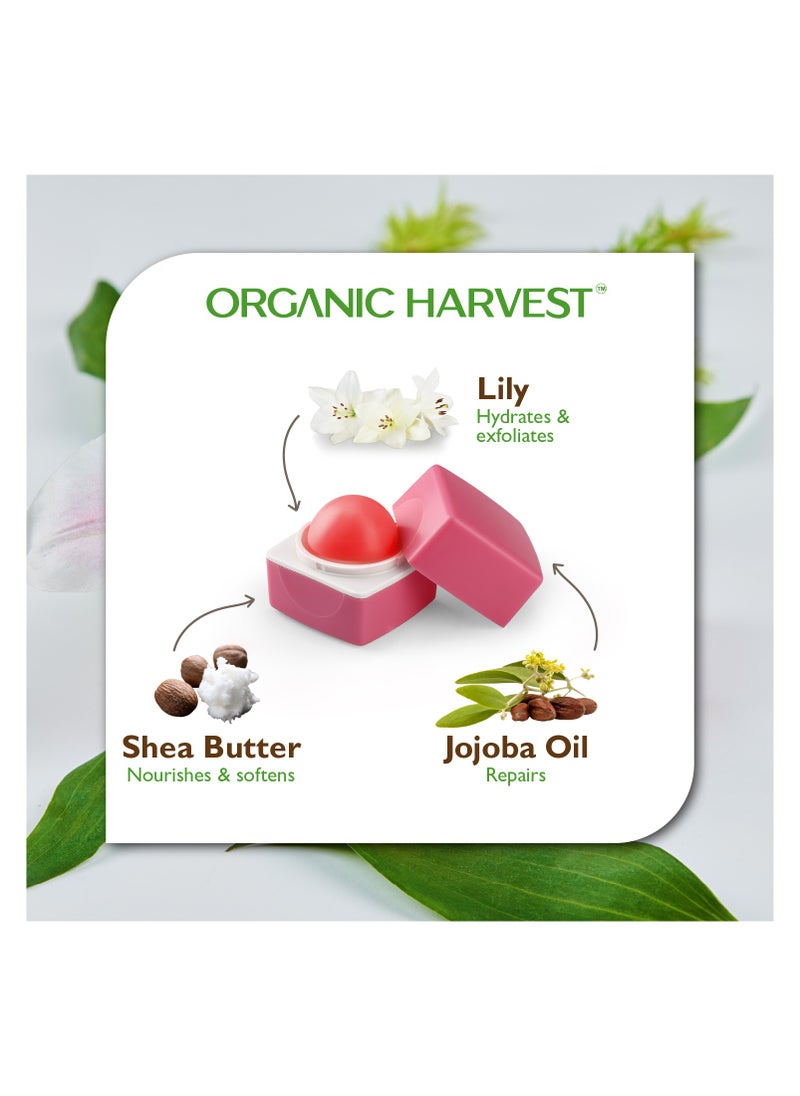 Organic Harvest - Organic Harvest Pink Tinted Lip Balm: Lily | Lip Balm for Women & Men | For All-round Lip Care | Lip Tint | Lip Balm Tint | Organic Lip Balm | 100% Certified Organic | Sulphate & Paraben-free 10gm - Image 1