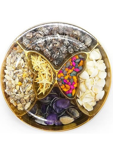 CICI - Seashell Decoration Set - Image 1