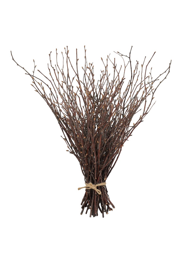 Uieke Uieke 50PCS Birch Twigs  17 Inch Natural Dried Plants Decorative Birch Branches for DIY Crafts Birch Sticks for Vases Wedding Arrangements Home Wreath Decor 