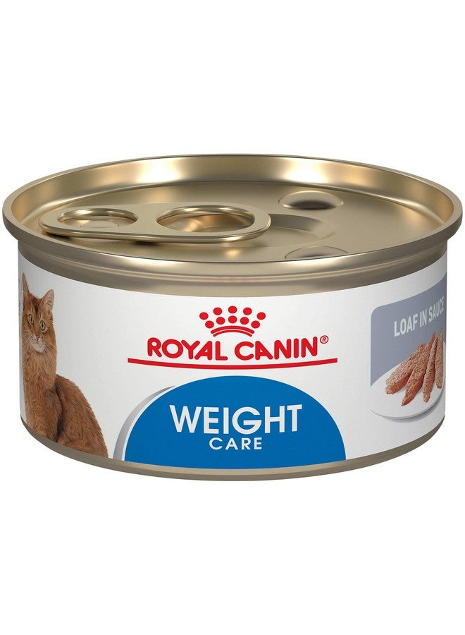 رويال كانين طعام القطط البالغة الرطب من رويال كانين فيلين ويت كير، شرائح رقيقة في المرق، علبة 3 أونصة (12 قطعة) - Image 3