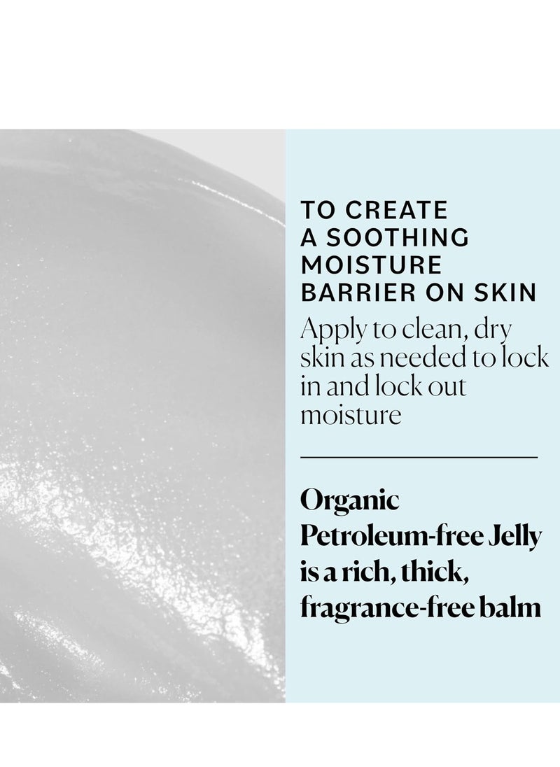 Sky Organics Sky Organics Organic Petroleum-free Jelly, Multi-Purpose Skin Care Balm with Organic Shea Butter, Coconut Oil, Olive Oil & Vitamin E, Moisturizing Lip Balm & Moisturizer for Dry Skin, 2.5 Oz  - Image 4