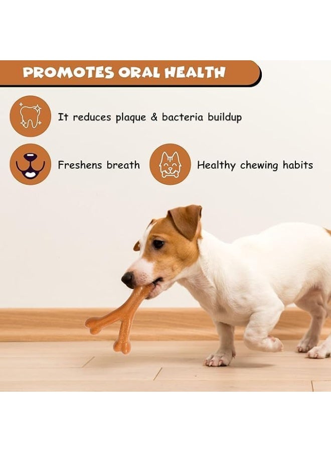 FUNFY Dog Chew Toy Y-Shape Bone, Durable Flavored Nylon Chew Toy for Aggressive Chewers, Safe Non-Toxic Dental Chewing Toy for Small and Medium Dogs - Image 5