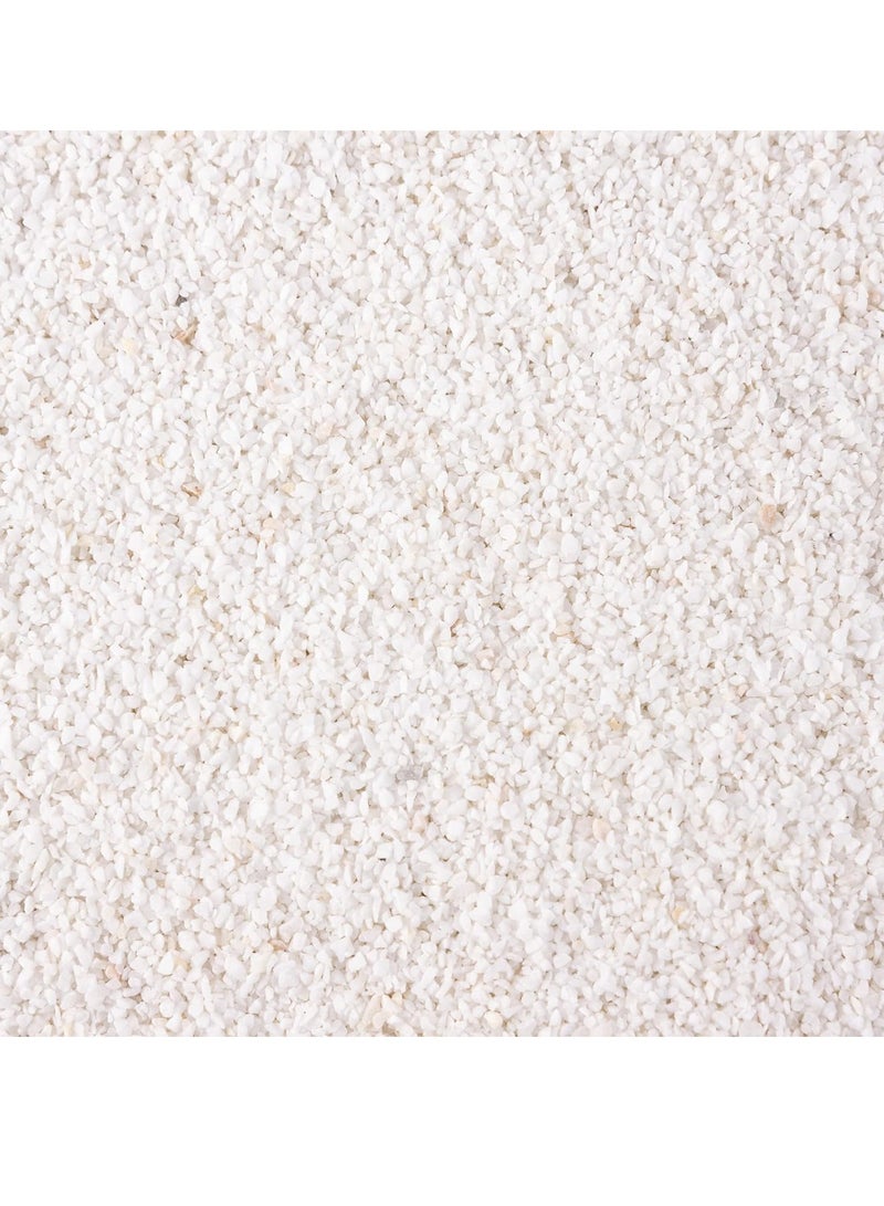 vsell24 2-4mm Medium White Stones Polished Natural White Pebbles For Garden Landscaping Fish Tank Vase Filler Cactus Succulents Aquariums  - Image 4