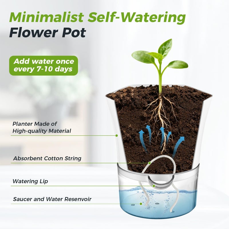 Planterhoma 6-Pack 7.8" Clear Self Watering Pots for Indoor Plants Large Hexagon Self-Watering Planters Orchid Pots Plastic Wick Flower Plant Pots for African Violet, Spider, Herbs, Home Decor, White and Clear - Image 5
