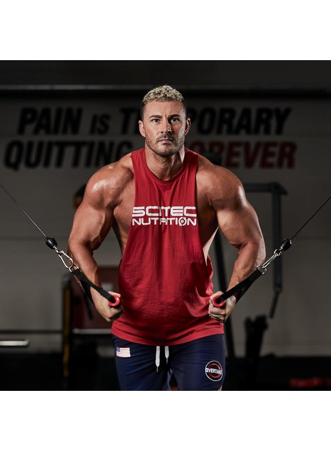 SCITEC NUTRITION مسحوق فطائر البروتين ناليسنيكي المستند إلى الشوفان مع إضافة بروتين مصل اللبن وبروتين الحليب 1036 جرام شوكولاتة وموز - Image 5