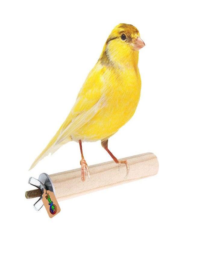 DreamAuro Natural Habitat Wooden Bird Perch/Stand/Toy (4 Inches/10 Cm) - Image 1