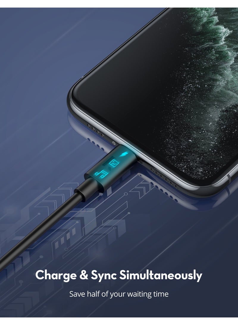 راف باور كابل Ravpower RP-CB1016 Type-C-Lightning بطول 1 متر TPE - Image 4