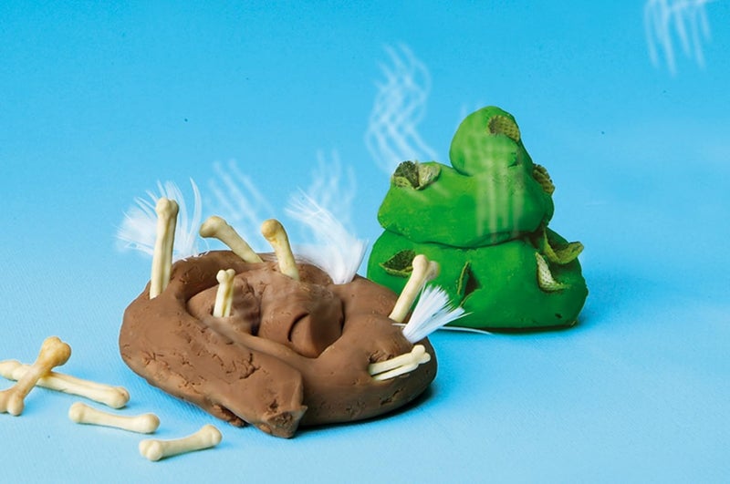 SES Creative Dino Poo - Educational Dinosaur Play Set - Image 2