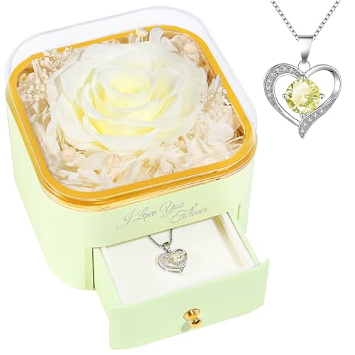 Beferr Mothers Day Forever Rose with Necklace for Mom Birthday Gifts Preserved Roses Eternal Flower for Delivery Fresh Flowers Gifts for Mother Wife Her Grandma Sister Daughter Girls Friends - Image 1