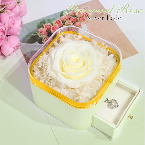 Beferr Mothers Day Forever Rose with Necklace for Mom Birthday Gifts Preserved Roses Eternal Flower for Delivery Fresh Flowers Gifts for Mother Wife Her Grandma Sister Daughter Girls Friends - Image 3