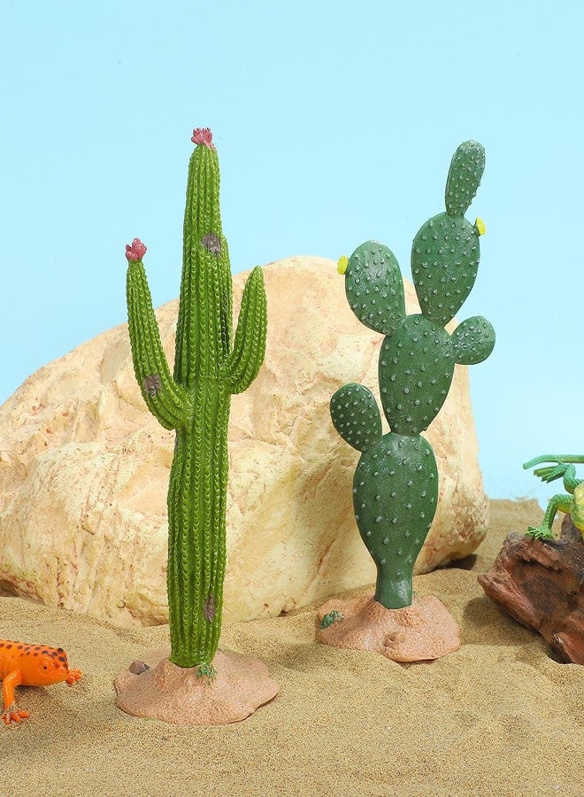 Amosfun 2pcs Realistic Cactus Models Lifelike Cactus Figurine Desktop Decor Artificial Greenery Plant Landscape Miniature Desktop Plant Decoration - Image 5