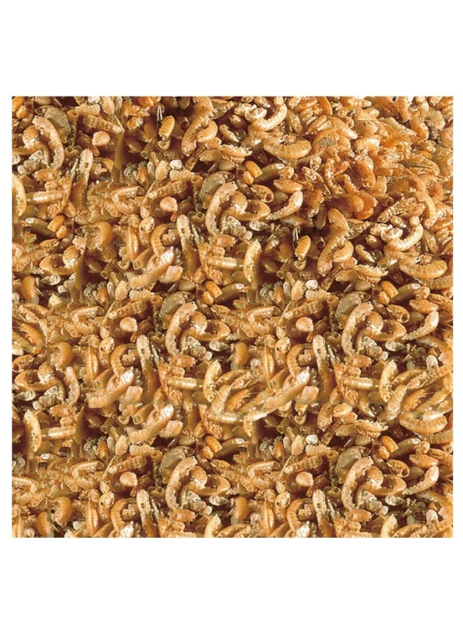 Sera طعام السلاحف من سيرا - رافي ناتشر 1 لتر - Image 2