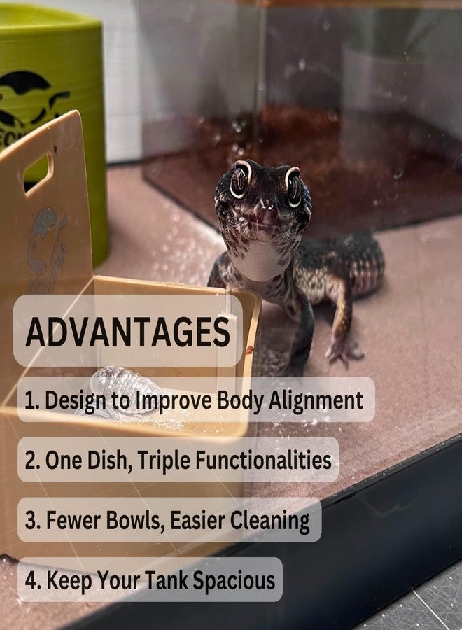 Geckopia Triple Dish | Marble - Image 3
