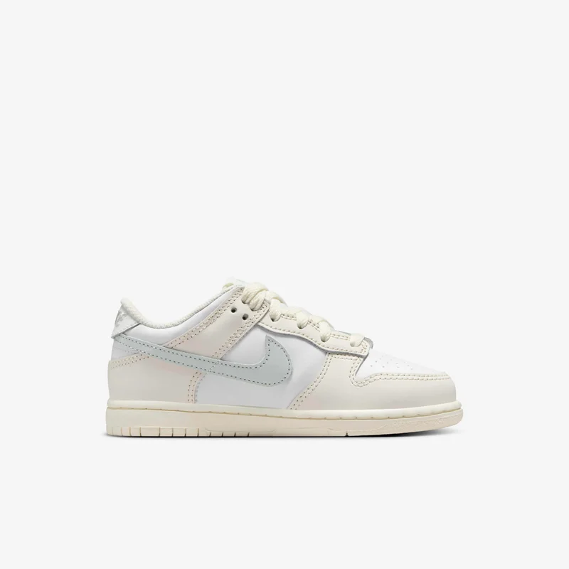 Nike Kids' Dunk Low Shoes