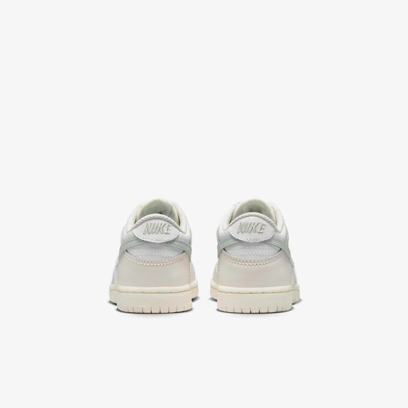 Nike Kids' Dunk Low Shoes